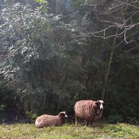 Pousada Paraiso Santa Cruz do Sul Zewnętrze zdjęcie